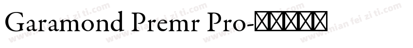 Garamond Premr Pro字体转换